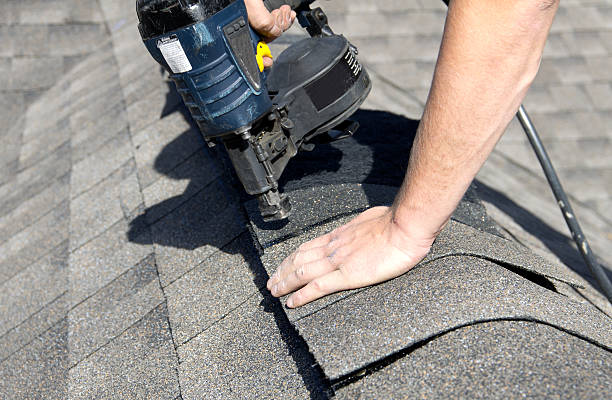 Best Roof Moss and Algae Removal  in Marion, SC
